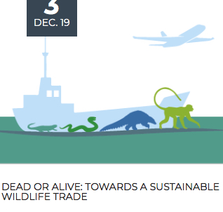 Copyright:Belgium Biodiversity Platform