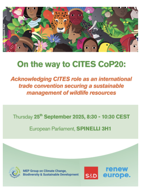 Preparation to the CITES CoP20 under way feature image